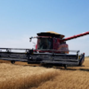 Meet your Posher, Micah